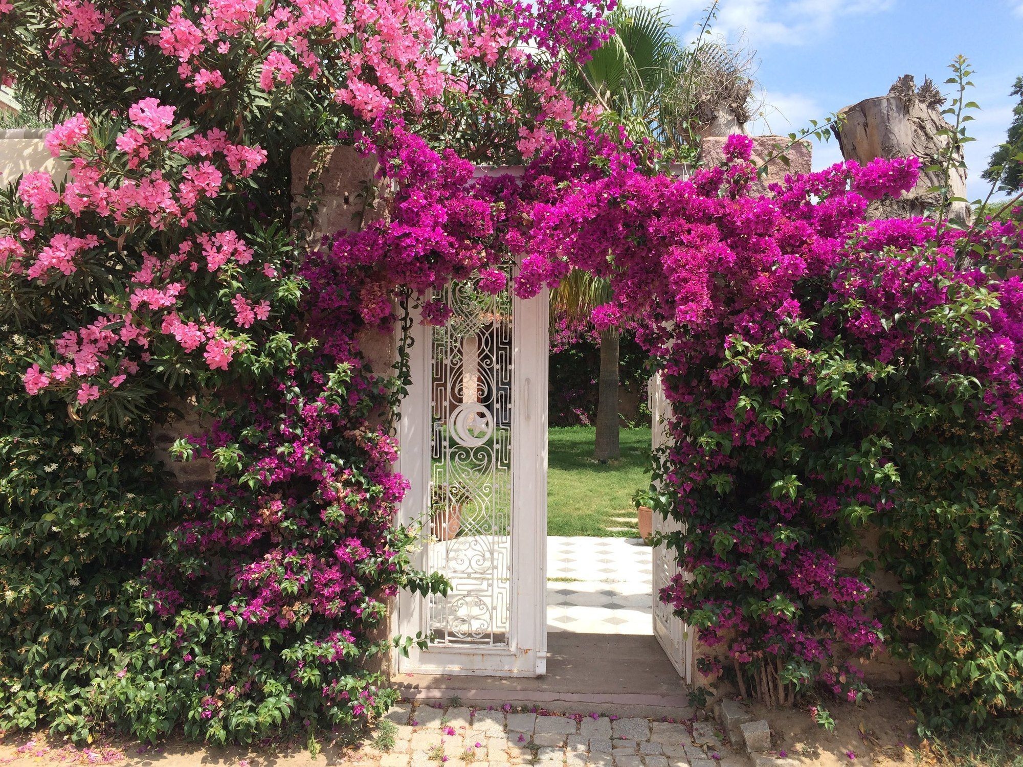 Cunda Has Konak Butik Otel Ayvalik Exterior foto